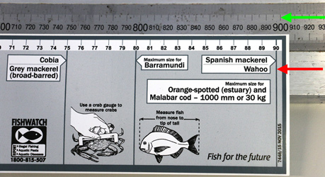 Check your fish rulers