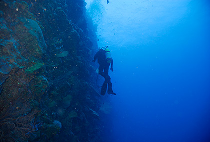 diver mid water near large drop wall